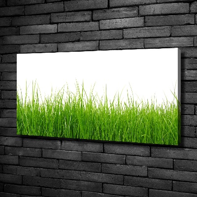 Bild auf leinwand Gras