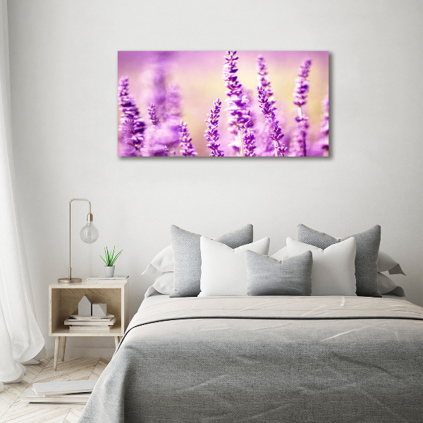 Bild auf leinwand Lavendel