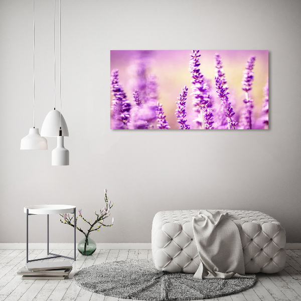 Bild auf leinwand Lavendel