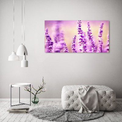 Bild auf leinwand Lavendel