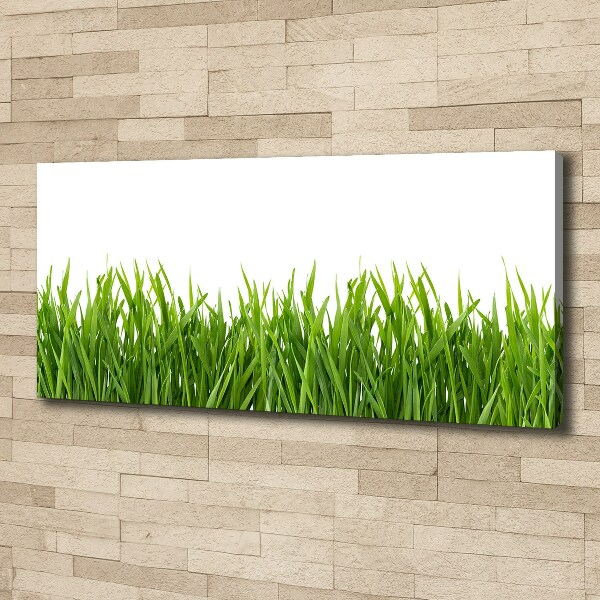 Wandbild Gras