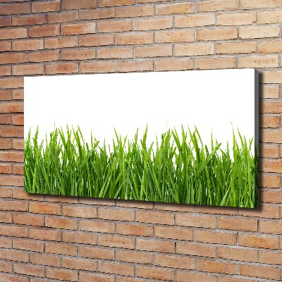 Wandbild Gras