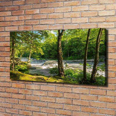 Fotobild Fluss im Wald