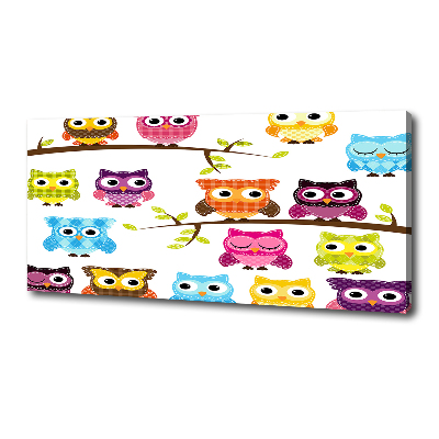 Bild auf leinwand Bunte Eulen