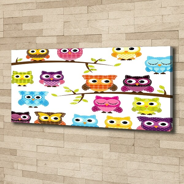 Bild auf leinwand Bunte Eulen