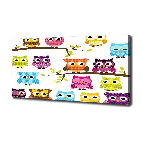 Bild auf leinwand Bunte Eulen