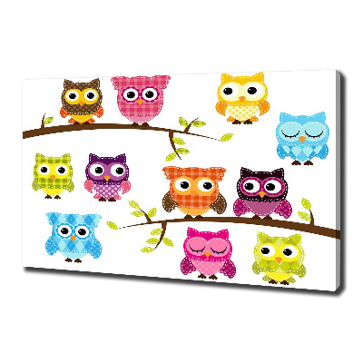 Bild auf leinwand Bunte Eulen