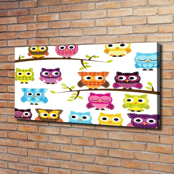 Bild auf leinwand Bunte Eulen