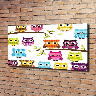 Bild auf leinwand Bunte Eulen