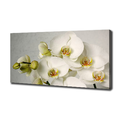 Wandbild Weiße Orchidee