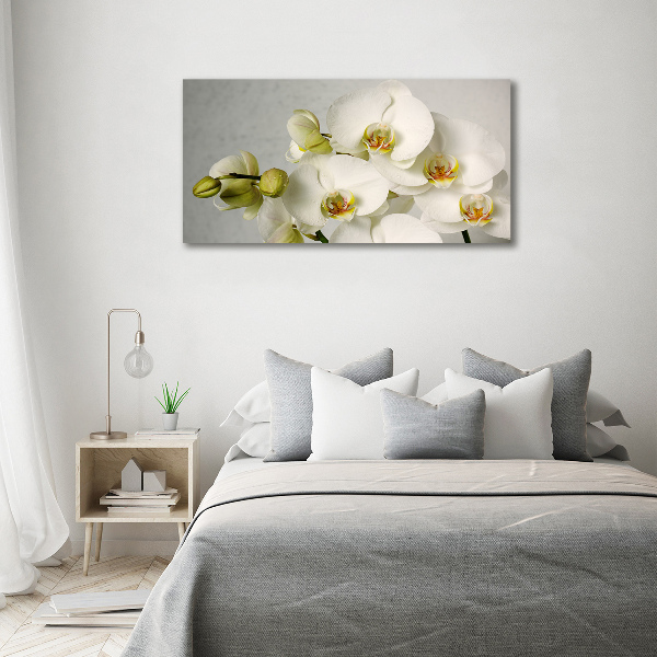 Wandbild Weiße Orchidee