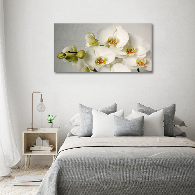 Wandbild Weiße Orchidee