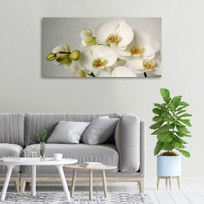 Wandbild Weiße Orchidee