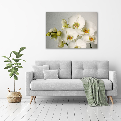 Wandbild Weiße Orchidee