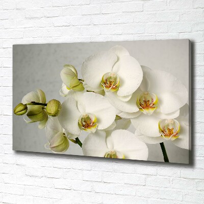 Wandbild Weiße Orchidee
