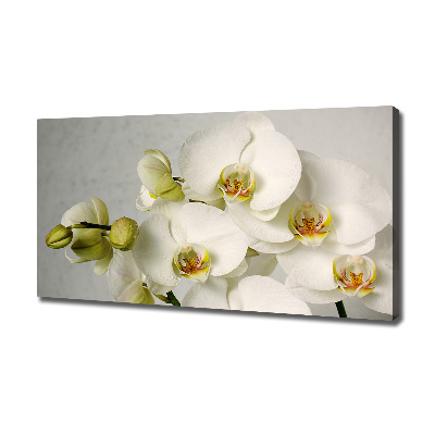 Wandbild Weiße Orchidee