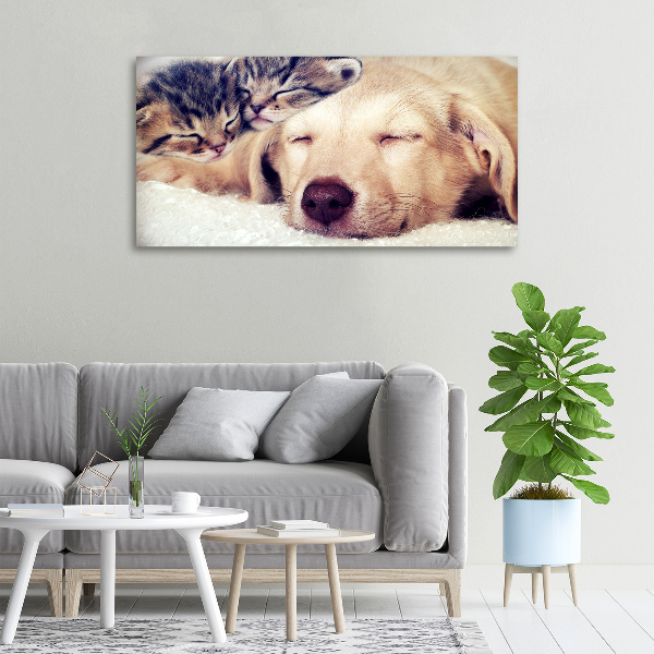Bild auf leinwand Welpen und Katzen