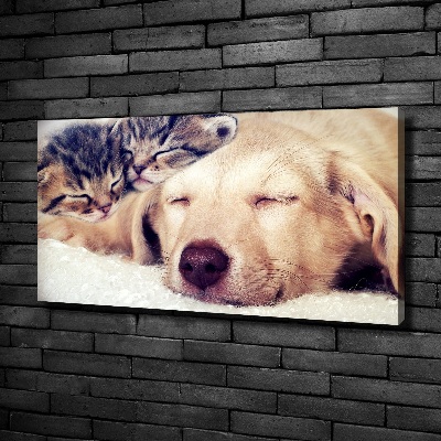 Bild auf leinwand Welpen und Katzen