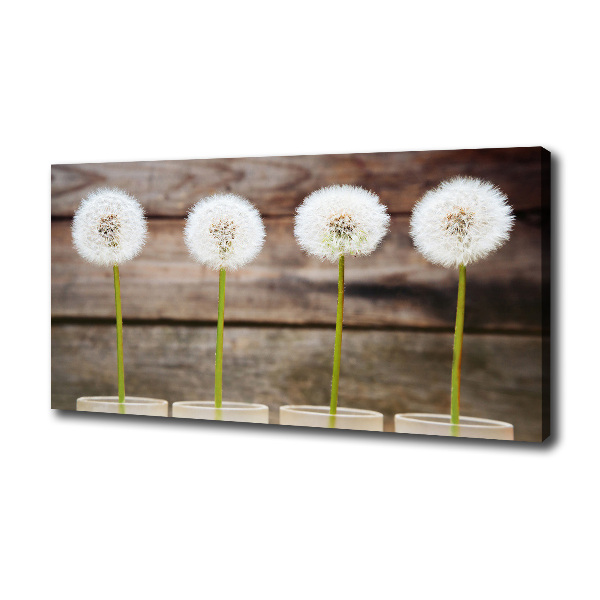 Bild auf leinwand Löwenzahn