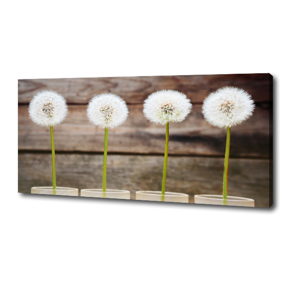 Bild auf leinwand Löwenzahn