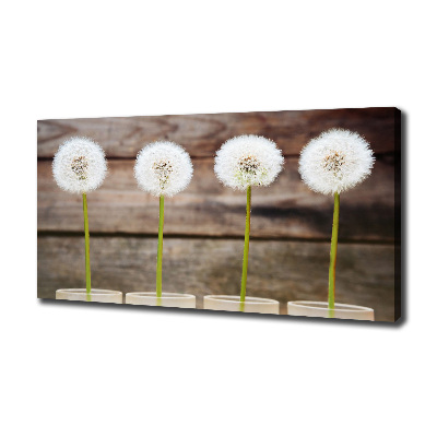 Bild auf leinwand Löwenzahn