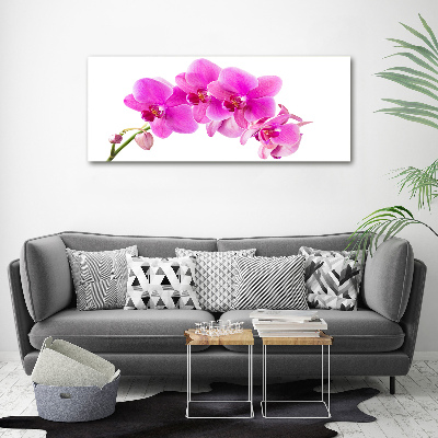 Wandbild Rosa Orchidee
