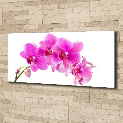 Wandbild Rosa Orchidee