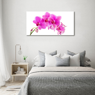 Wandbild Rosa Orchidee
