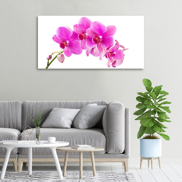 Wandbild Rosa Orchidee