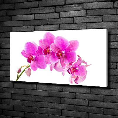 Wandbild Rosa Orchidee