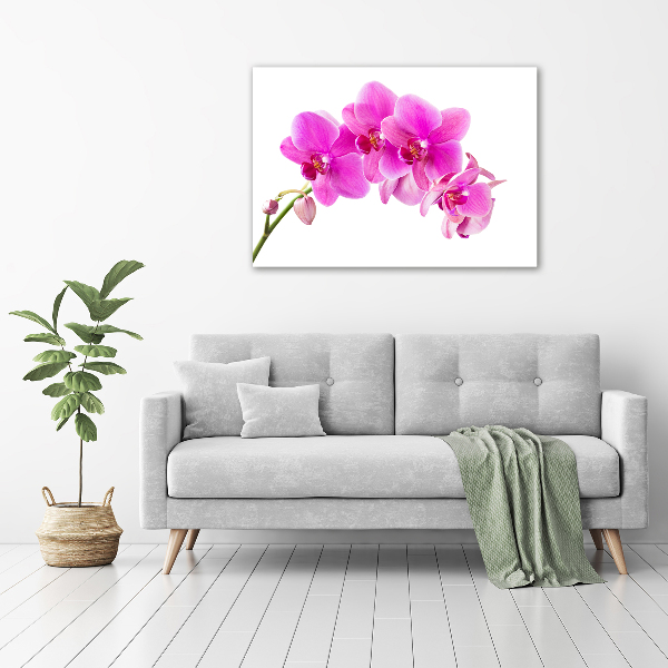 Wandbild Rosa Orchidee