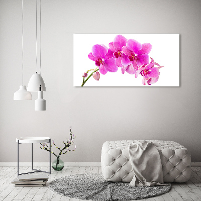 Wandbild Rosa Orchidee