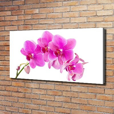 Wandbild Rosa Orchidee
