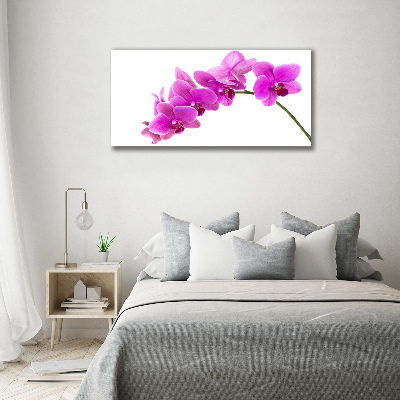 Bild auf leinwand Rosa Orchidee