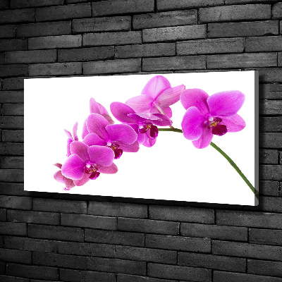 Bild auf leinwand Rosa Orchidee