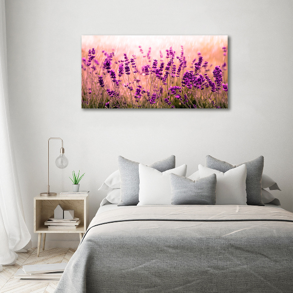 Bild auf leinwand Lavendel
