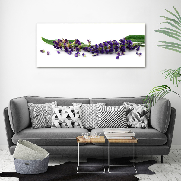 Wandbild Lavendel