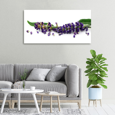 Wandbild Lavendel