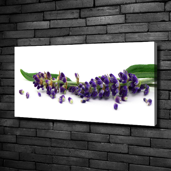 Wandbild Lavendel