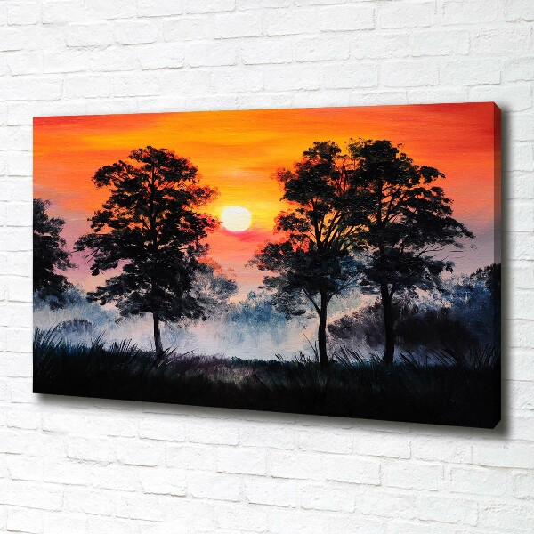 Bild auf leinwand Sonnenuntergangswald