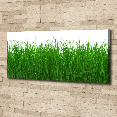 Wandbild Gras