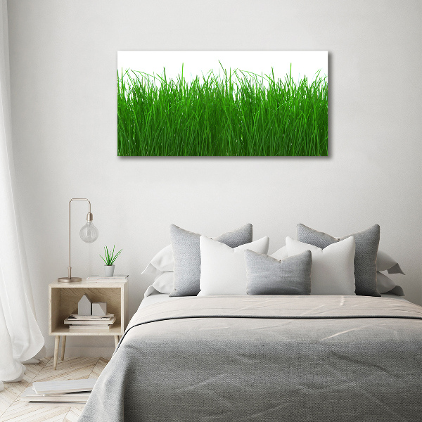 Wandbild Gras