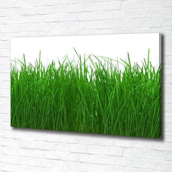 Wandbild Gras