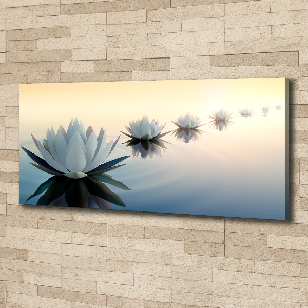Bild auf leinwand Lotusblumen