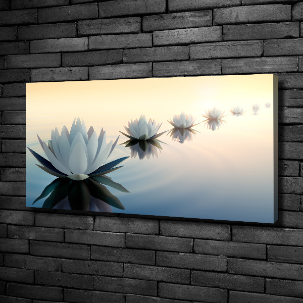 Bild auf leinwand Lotusblumen