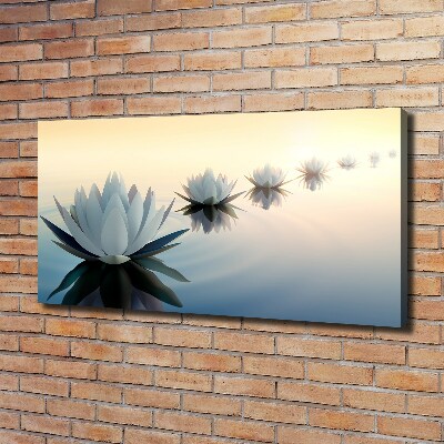 Bild auf leinwand Lotusblumen