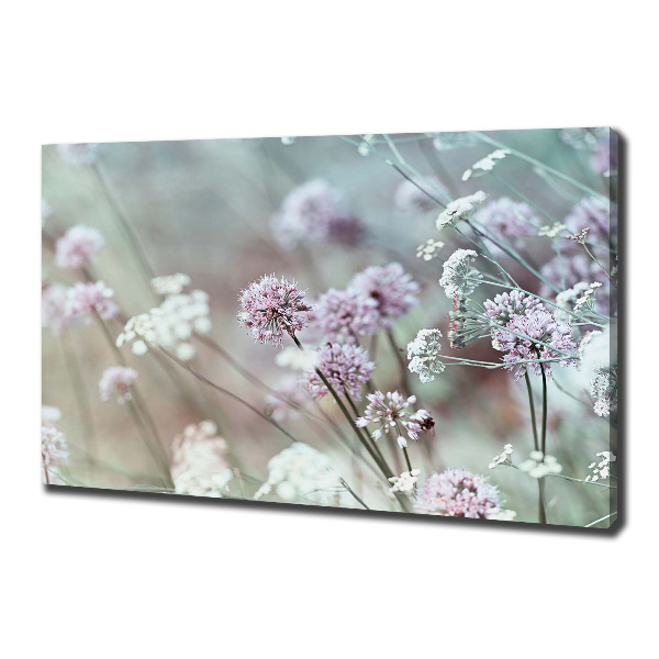Bild auf leinwand Wildblumen