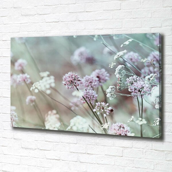 Bild auf leinwand Wildblumen