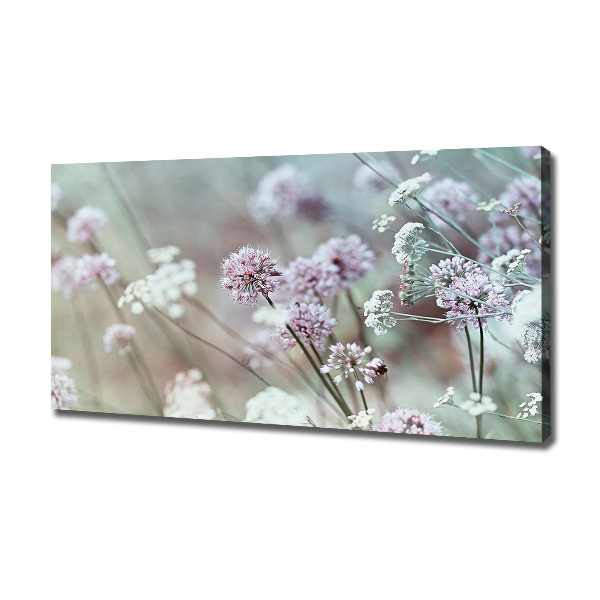 Bild auf leinwand Wildblumen