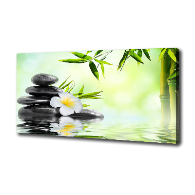 Wandbild Plumeria und Bambus